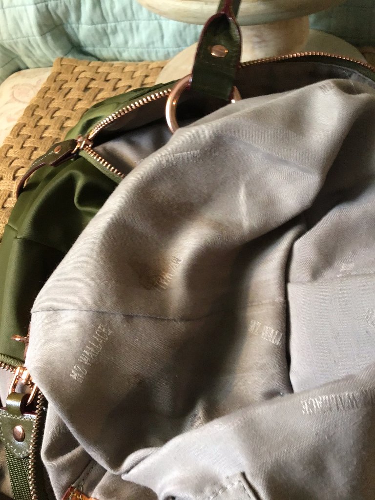Mz Wallace Green Paige Crossbody Bag (Please Read Description) — image 5 of 8